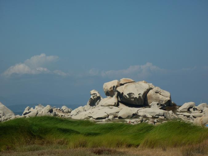 Rettili della Corsica